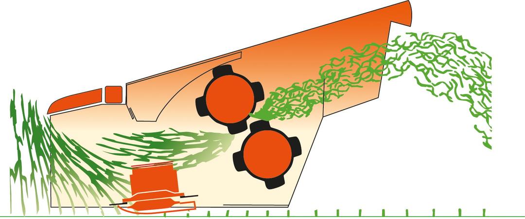 Gentle Roller Conditioning (R Models)